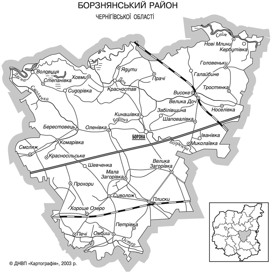 Борзнянський район